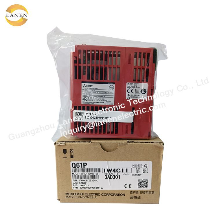 Q61P (3)